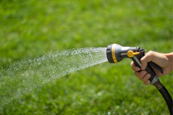lawn watering from hose sprayer