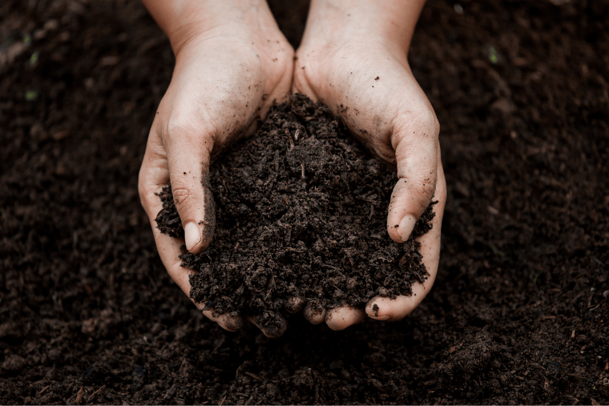 Soil Testing in charlotte and raleigh